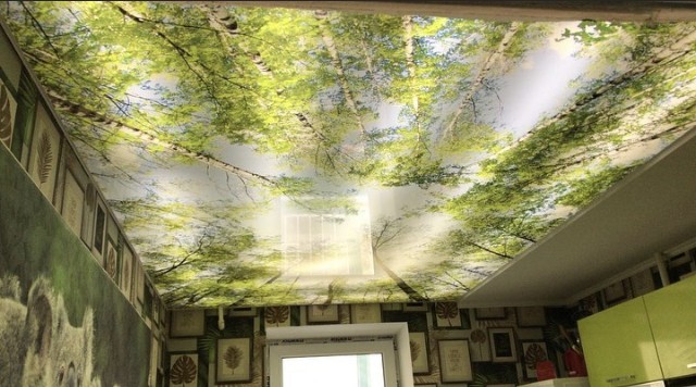 Натяжной потолок с фотопечатью на кухне